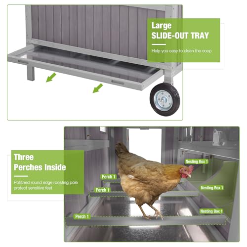 GUTINNEEN Chicken Coop with Wheels Portable Wooden Large Dock Coops for 6 Chickens 3 Perches 3 Nesting Boxes, Hen House for Backyard Garden 48.6"