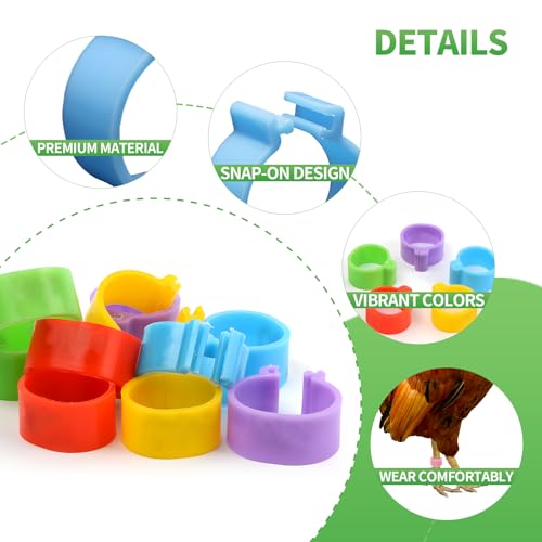 80 PCS Chicken Leg Bands,Chicken Tags for Legs with 8 Color,0.6in Colorful Snap-On Poultry Identification Rings for Chickens,Ducks,Quails,Pigeons - size: 80 PCS