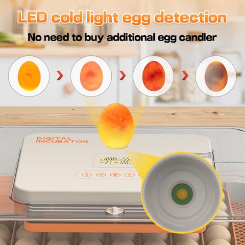 HOWOOlUA 56 Egg Incubator for Hatching Eggs with Auto Turn, Temp & Humidity Control, Built-in Candler Large Capacity Egg Incubator for Chicken Duck Goose Eggs - size: 56-EGGS