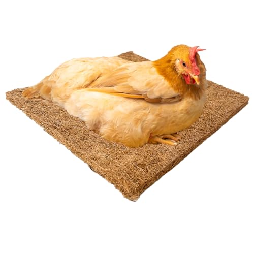 2 Pack Nest Box Pads Laying Hen Nesting Pads Brooder Pads Liners Excelsior Chicken Bedding for Chicks Chicken Nesting Boxes Laying Eggs Hens Nesting Box Ducks Poultry Birds