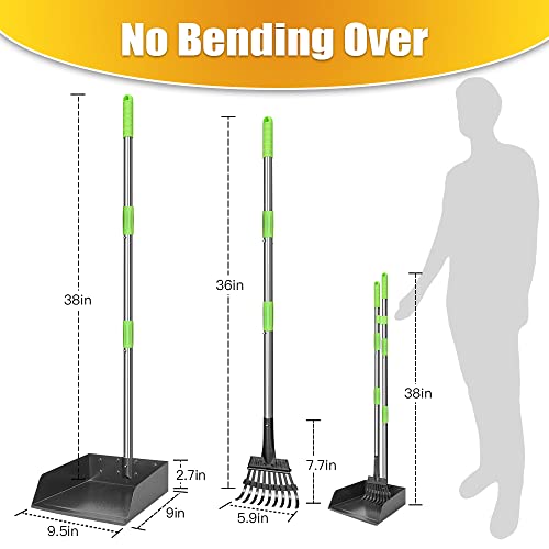Larger Dog Pooper Scooper for Large Dogs Long Handle Stainless Metal | Tray and Rake Set for Large Medium Small Dogs Heavy Duty (Green) (Extra Large) - size: 2. Rake & Large Tray