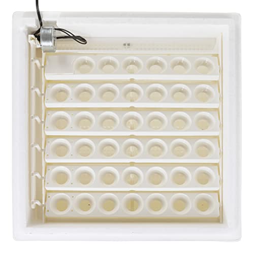 Farm Innovators 4250 Heated Digital Circulated Air Incubator (encubadora para huevos) w/Automatic Egg Turner for Improved Egg Hatching, White (2 Pack)