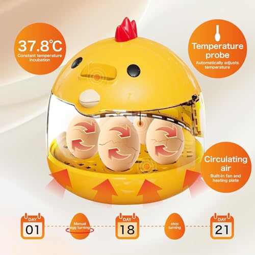 Small Household Egg Incubator USB Powered Transparent Observation Cover with Egg Projector can Hold 5 Eggs