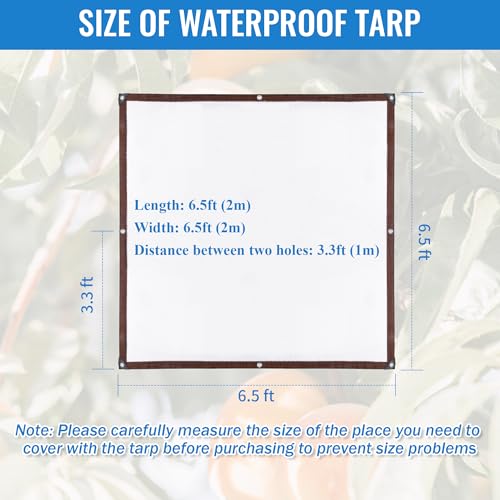 6.5 x 6.5 FT Clear Thicken Waterproof Tarp, Rainproof Covering, Heavy Duty Anti Tear Tarp with Grommets, Windproof and Snowproof Poly Tarpaulin for Patio, Plants, Henhouse, Garden, Porch - size: 6.5 x 6.5 FT