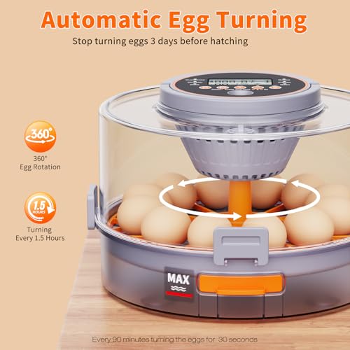12 Egg Incubators for Hatching Eggs for Home, Classroom and Lab | Incubator for Chicken Eggs,Duck,Goose,Quail,Snake,Egg Incubator with Automatic Egg Turning and Humidity Control - color: gray+Orange