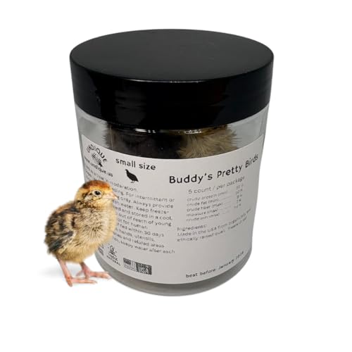 Undique Whole Quail for Carnivore Pets - Premium Quality Natural Pet Treats - Natural Prey Feeding - Freeze-Dried for Essential Nutrients and Enzymes - Quality Protein Source Small Size 5 Count
