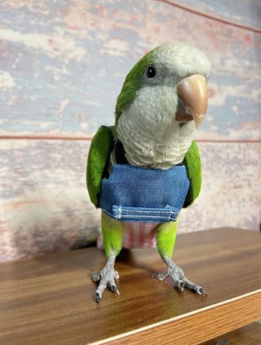 Bird Flight Harness Vest, Parrot Suit with Leash for Cockatiels Conures Budgies Lovebirds African Grey, Flying Clothes Rope and Handle Outdoor Activities Training (XX-Large)