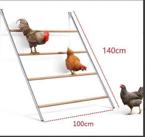 Chicken Perch for Coop, Roosting Bars- for Chickens&Ducks&Geese&Pigeons, Chicken Perches, Perfect for Backyard&Farm Poultry- Easy to Assemble and Clean(55''L x 40''W)