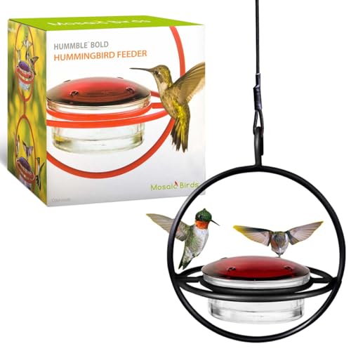 Hummingbird Feeder for Outdoors Hanging, 3.4 OZ Hummingbird Feeders, Glass Bowl with 4 Feeding Ports, Leak Proof Lid & Circular Perch, Bird Feeder (1, Black) - color: Black