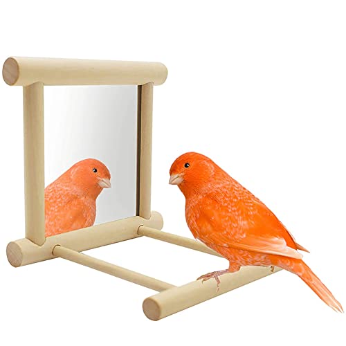 2 Pcs Wooden Bird Mirrors Family Bird Parakeet Mirror Bird Swing Parrot Cage Toys Parrot Interactive Play Toys Birdcage Fun Platform Stand Toys with Perch