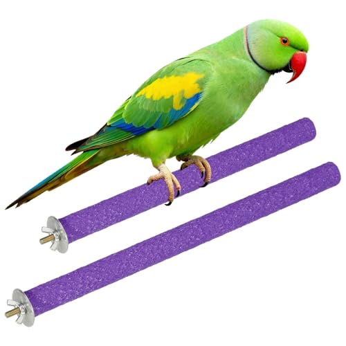 Bird Cage Perch, Colorful Parrot Grinding Claw Sticks, Platform Paw Stand Toy 10/12 Inch, (Wooden, Purple, 2Pcs), Intended for Small Medium Birds/Parrots/Finches/Lovebird - color: Purple, size: 10/12 Inch