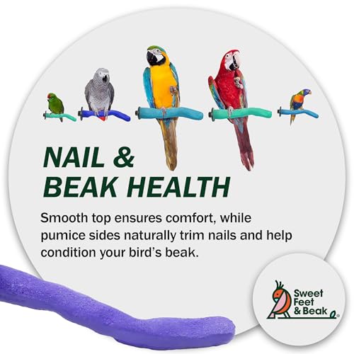 Sweet Feet and Beak Safety Pumice Bird Perch, Small Pedicure Perch, Purple | Plastic Bird Nail Trimming Perch, Pumice Coated Surface for Healthy Feet and Beak, 8" Lightweight Perch, Available In 5 Sizes - color: Purple, size: Small 8"