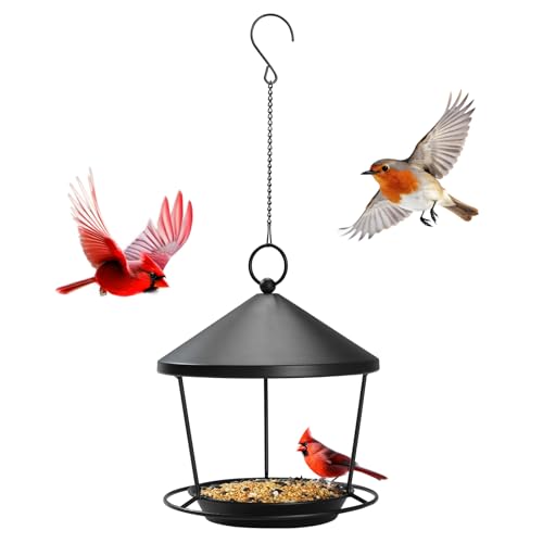 DoReFaSolWild Bird Feeders Hanging Balcony Bird Feeder Hanging Bird Bath | Bird Feeder for Outdoor Hanging Bird Bath and Feeder with Chain and Hook Hanging Bird Feeder with Roof Bird Feeder For Patio - size: M