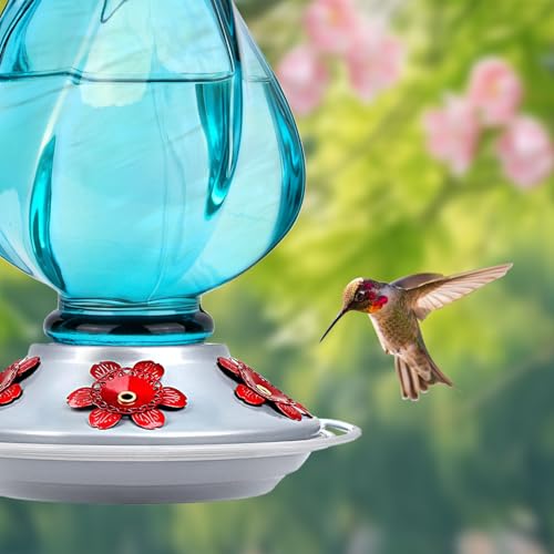Glass Hummingbird Feeders for Outdoors Hanging, Ant Moat, Blue, 22oz | 5 Feeding Ports, Leak Proof, Easy Refill & Clean, Weatherproof, Attractive Garden Decor, Brithday Gifts for Women Men Mom Dad - color: Ruby Blue