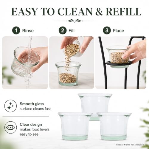 DECHOUS 3Pcs Replacement Glass Cups for Oriole Feeder Hummingbird Wild Bird | Outdoors Garden Balcony Patio Birds Feeding Accessories, Glass Jelly Feeder Cups for Oriole and Hummingbirds