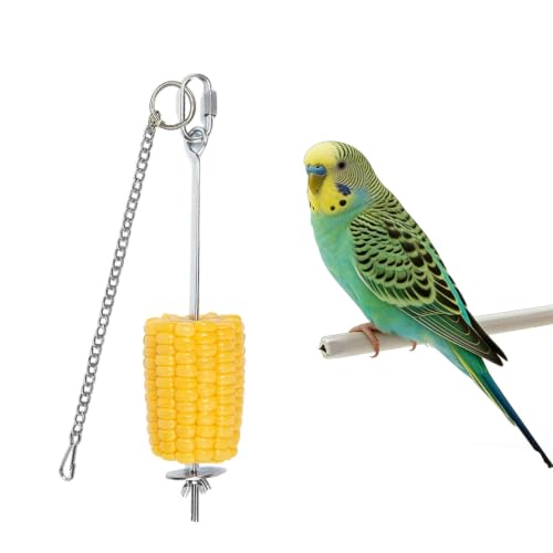 6PCS Stainless Steel Long Medium Short Fruit Forks Bird Cage | Parrot Vegetable Feeding Snack Rack Bird | Toys for Parakeets | 3 Hook 3 Chains