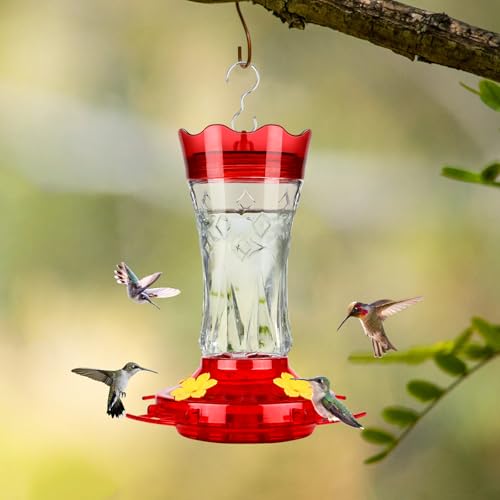 Glass Hummingbird Feeders for Outdoors, Built-in Ant Moat, Red, 15oz | 4 Bee Guard Feeding Ports with Perches, Leak Proof, Stars Decor, Easy Refill & Clean, Yard Decor, Gifts for Women Men Mom Dad - color: Red