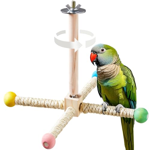 Large Bird Perch Toy, Interactive Wooden 360° Spinning Cage Toy(L) | Exercise Wheel Quaker Toy, Enrichment Bird Cage Accessories Perch Toys for Medium-sized Birds Cockatiel Ring-necked Caique - size: Large (no bells)
