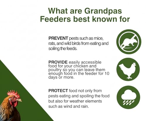 Grandpas Feeders Automatic Chicken Feeder - 40 lbs No Waste Poultry Feeder, Rat Proof & Rodent Proof Treadle Chicken Feeder, Galvanized Steel with Lid, Feeds 6-12 Chickens up to 10 Days - size: Large