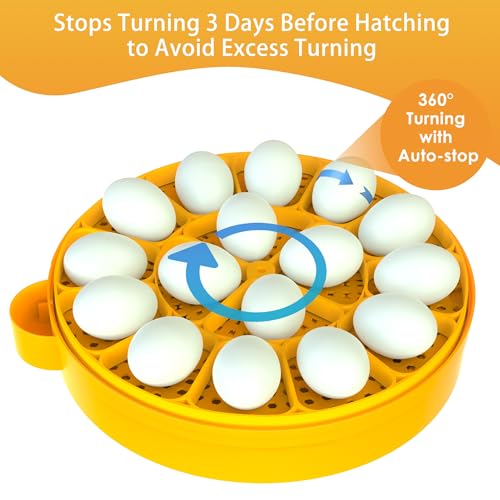 16 Duck Eggs Incubator with Phone App, Automatic Incubator with Custom Mode | Chicken Incubators for Hatching Eggs with Humidity, Temperature Control, Small Incubator with Egg Turner Tray for Beginner