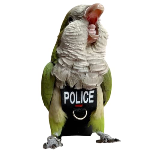 Bird Diaper Harness Flight Suit Clothes, Parrot Flight Suit with Leash for Parrot, Bird Flying Clothes with Rope and Handle for Outdoor Activities Training (Without Leash -Medium) - size: Without Leash -Medium