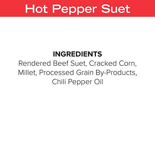 Blue Seal Hot Pepper Suet Cakes for Wild Birds | No Mess Suet Feed with Cracked Corn | Food for Woodpeckers, Cardinals, Siskins & Sparrows | Use with Suet Feeder | 11oz Seed Cake (12 Pack)