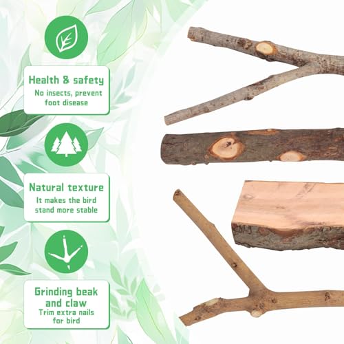 4-Pack Natural Wood Bird Perch Stand with Spacious Platform, Thick & Long Branches, Large Parrot Cage Accessories for African Grey, Macaws, Conures, Eclectus (Medium & Large Birds) - size: Size for Medium & Large Birds