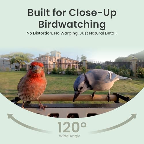 Smart Bird Feeder with 4K AI Camera, Dual-Band 2.4/5GHz Wi-Fi | 4K HDR Video, Lifetime Free AI Bird ID, Solar Powered, Full-Metal, Easy Setup & Sharing 20+ Family, Bird Watching Gift