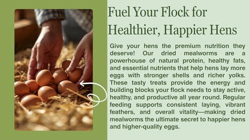 kimoe Non-GMO Bulk Dried Mealworms 10LB Bag for Chickens, Ducks & Wild Birds — 100% Natural High-Protein Feed to Boost Egg Production, Feather Health & Immunity - size: 10 Pound (Pack of 1)
