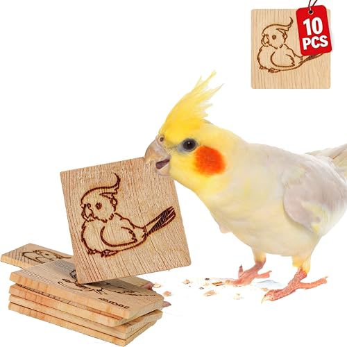 10 Pack Bird Chew Toys, 100% Natural Pine Wood Blocks for Parrot Chewing & Beak Trimming, Durable Bird Cage Accessories for Medium Small Birds, Conures, Cockatiels - style: 10 Small Slices