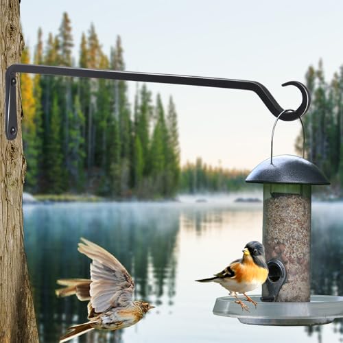 16 inch Plant Hanger, Sturdy Hanging Plant Bracket Outdoor, Hanging Plant Wall Hook Heavy Duty, for Hanging Bird Feeders, Planters, Lanterns, Wind Chimes, Indoor/Outdoor Use, Black, Set of 2 - color: Black, size: 16in-2-Black