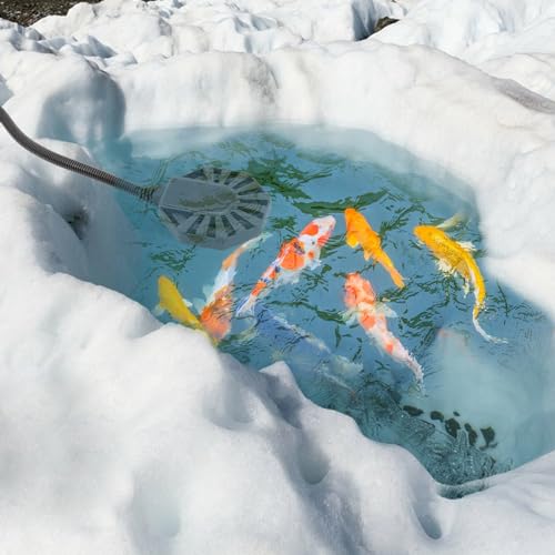 500Watt Outdoor Aluminum Cast Pond De-icer, Thermostatic Control Bird Bath Heater,Chicken Water Heater,Stock Tank Heater for Livestock Poultry Cows,Horses,Birds,Wildlife Drinking for Winter