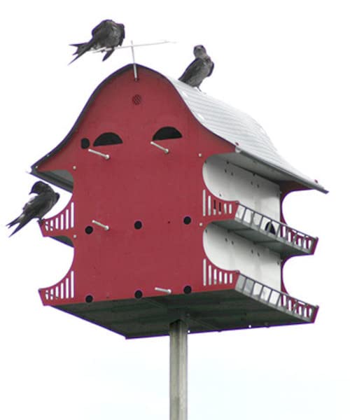 Purple Martin 16 Room Barn
