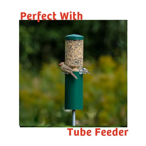 Birds Choice Cardinals Crave Bird Seed Wild Bird Food | Nutrient-Rich Bird Seed Blend | High-Energy with Safflower, Black Oil Sunflower Seeds & Peanuts | High Protein & Fat for Cardinals | 5 lbs | High-Energy Blend of Safflower, Black Oil Sunflower Seeds
