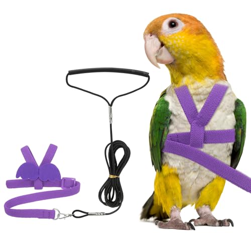 Bird Harness Leash, Adjustable Pet Parrot Bird Harness and Leash Lightweight Anti-Bite Flight Training Rope with Cute Wing, (Purple, M), Intended for Parrots/Pigeons/Budgies - color: Purple, size: Medium