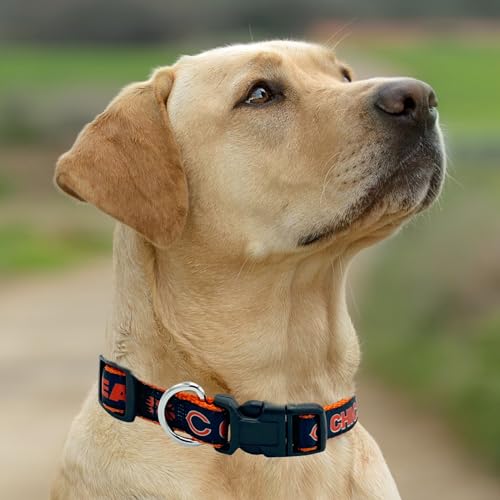 Pets First NFL Chicago Cubs Licensed PET COLLAR, Small - Heavy-Duty, Strong, and Durable Dog Collar. Available in 31 Football Teams and 4 Sizes - color: Chicago Bears, size: Small