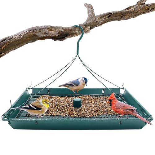 Zenport Z203009 2-in-1 Platform Bird Feeder, Post Mount, Sturdy Metal Weatherproof Construction, Green