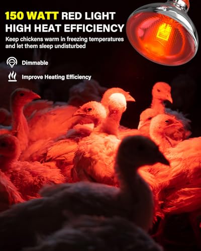 Heat Lamp Bulbs for Chickens Coop Brooder with Plug in Cord,On/Off Switch,150 Watt E26 Reptile Heat Lamp Bulb Infrared Red Light for Chicks,Birds,Ducks,Dogs,Cats