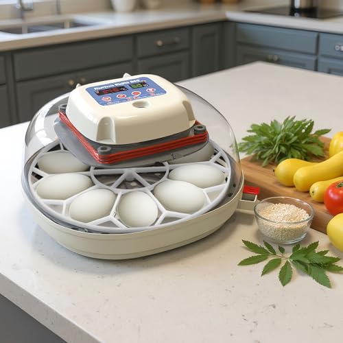 Teenyyou 3 Pcs 10 Egg Capacity Tray Jumbo Goose Turkey Peacock Egg Heavy Breeds Tray Compatible with JGT360 Nurture Right 360 Incubator Turner, White