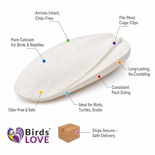 Birds LOVE 5.5-6″ Cuttlebones for Birds – 100% Natural Sun-Dried Calcium Carbonate Mineral Supplement – for Parakeets, Budgies, Cockatiels, Finches & Canaries – 4 lb with Holder – Made in Vietnam - size: 4 Pound (Pack of 1)