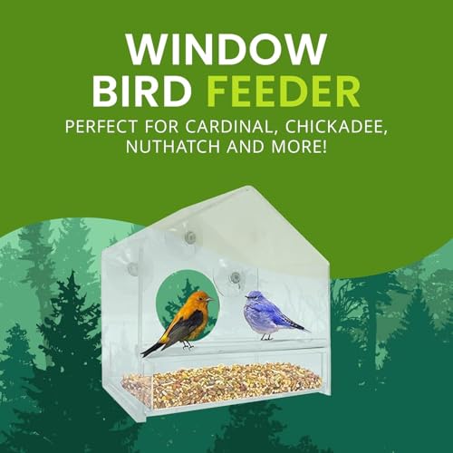 Window Bird Feeder with Strong Suction Cups, Clear Acrylic Window Mounted Bird Feeder, Removable Sliding Tray, Weather-Resistant, Durable, Squirrel-Resistant, House Style - size: House