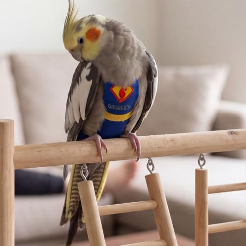 Parrot Flight Suit Diaper (Without Leash) - Reusable Bird Diaper for Budgies, Lovebirds, Cockatiels, and More - Fabric Bird Suit (Blue Superman-M) - size: Blue superman-M