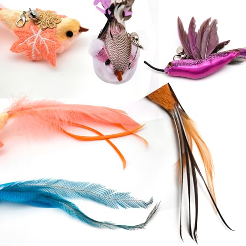 miwoowim 35" Steel Wire Cat Wand Toy & 6PCS Realistic Feather Bird Refills | Sturdy wooden handle for easy grip.Handcrafted birds with bells.Promotes active play, healthy exercise & bonding - color: 7 PCS Cat Wand Toy Birds