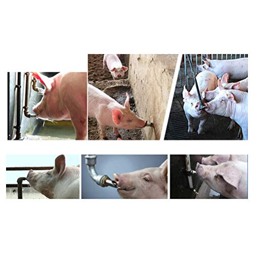 BUYGOO 10Pack Pig Nipple Waterer, Hog Nipple Waterer, 1/2" NPT Stainless Steel Automatic Pig Nipples Heavy Duty Water Drinker Feeder Watering Nipples for Piglets, Sows Drinking