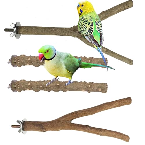 4 PCS Natural Parrot Perch Wooden Parrot Perch Stand Bird Stand Parakeet Climbing Standing Branches Toy for Small Lovebirds Budgies Cockatiels