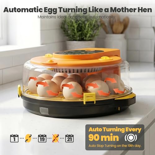 Incubators for Hatching Eggs -15-Egg Automatic Egg Chick Incubator with 5 Smart Preset Modes and Egg Turning, Temperature & Humidity Control Incubator for Goose Duck Quail Eggs