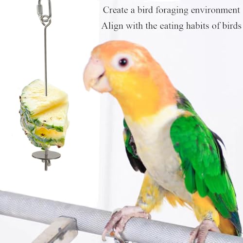 2pcs Hanging Bird Treat Skewer Parrot Fruit Feeder with Washer, 9 Inch Stainless Steel Bird Food Holder Parrot Fruit Food Skewer Parakeet Treat Holder Feeder for Parakeet Conure, LXLVOUEG - size: Nut-9inches-2P