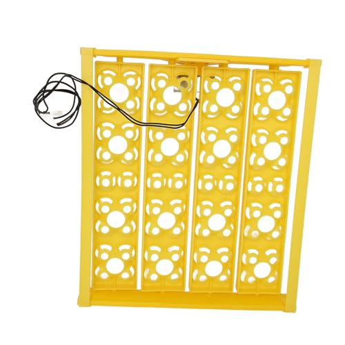 Egg Incubator Tray, Multifunction Automatic Egg Turner Incubator Tray Eggs Automatic Egg Turner Turning Tray for 16 Duck Eggs 16 Eggs 72 Quail Eggs Incubation (AC12V) - size: AC12V
