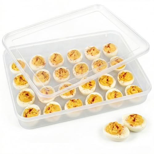 HANSGO Deviled Egg Containers with Lid, Plastic Egg Holder for 24 Eggs | Clear Deviled Egg Holder for Refrigerator Storage, Home Kitchen, Party, Easter, Thanksgiving and Other Festival - color: 24 Egg Box