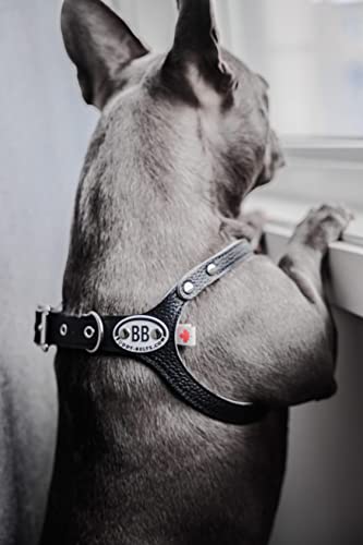 BUDDY BELT Harness Pebble Grain Black - Premium Edition (4) - size: 4